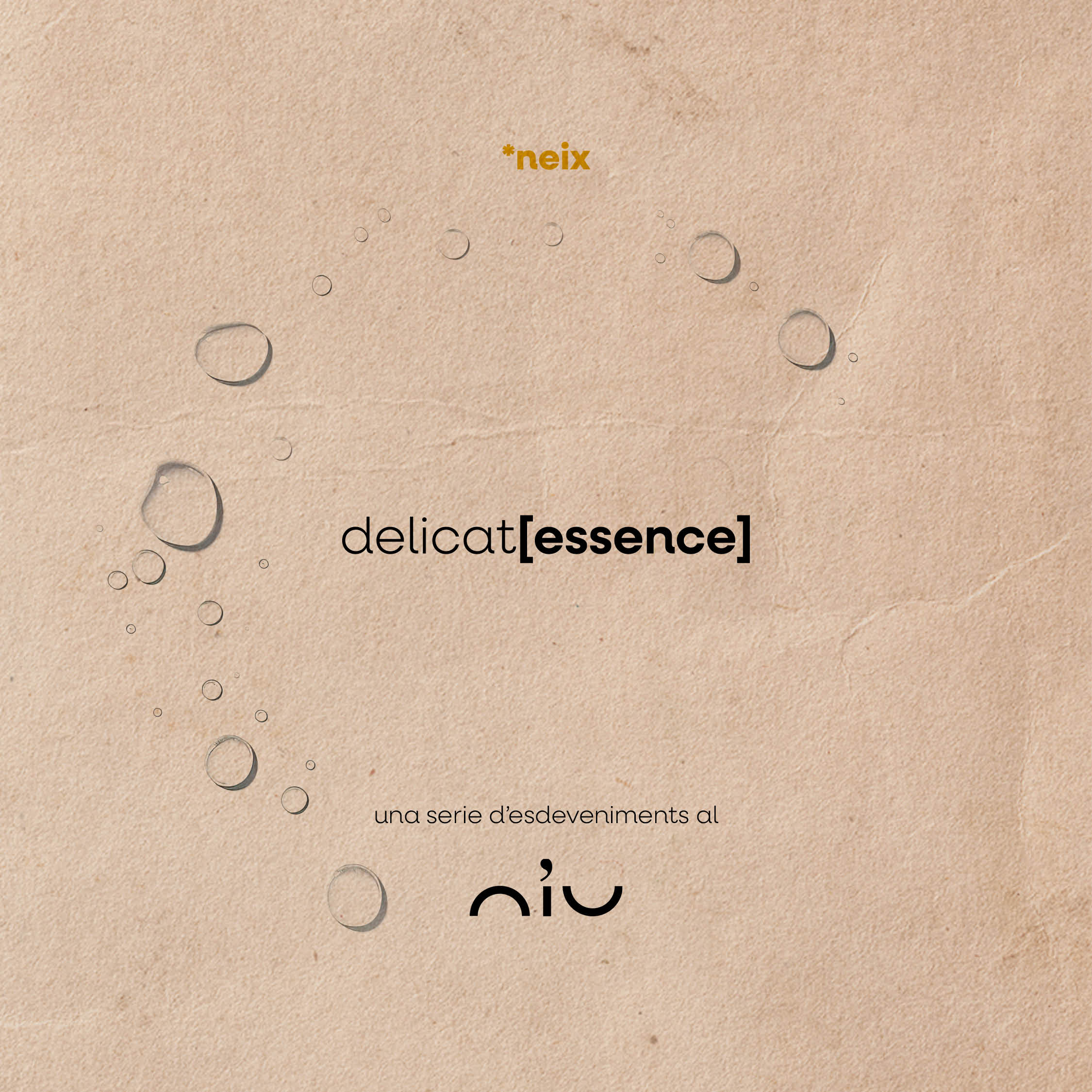 delicat[essenz] 1 – Instagram