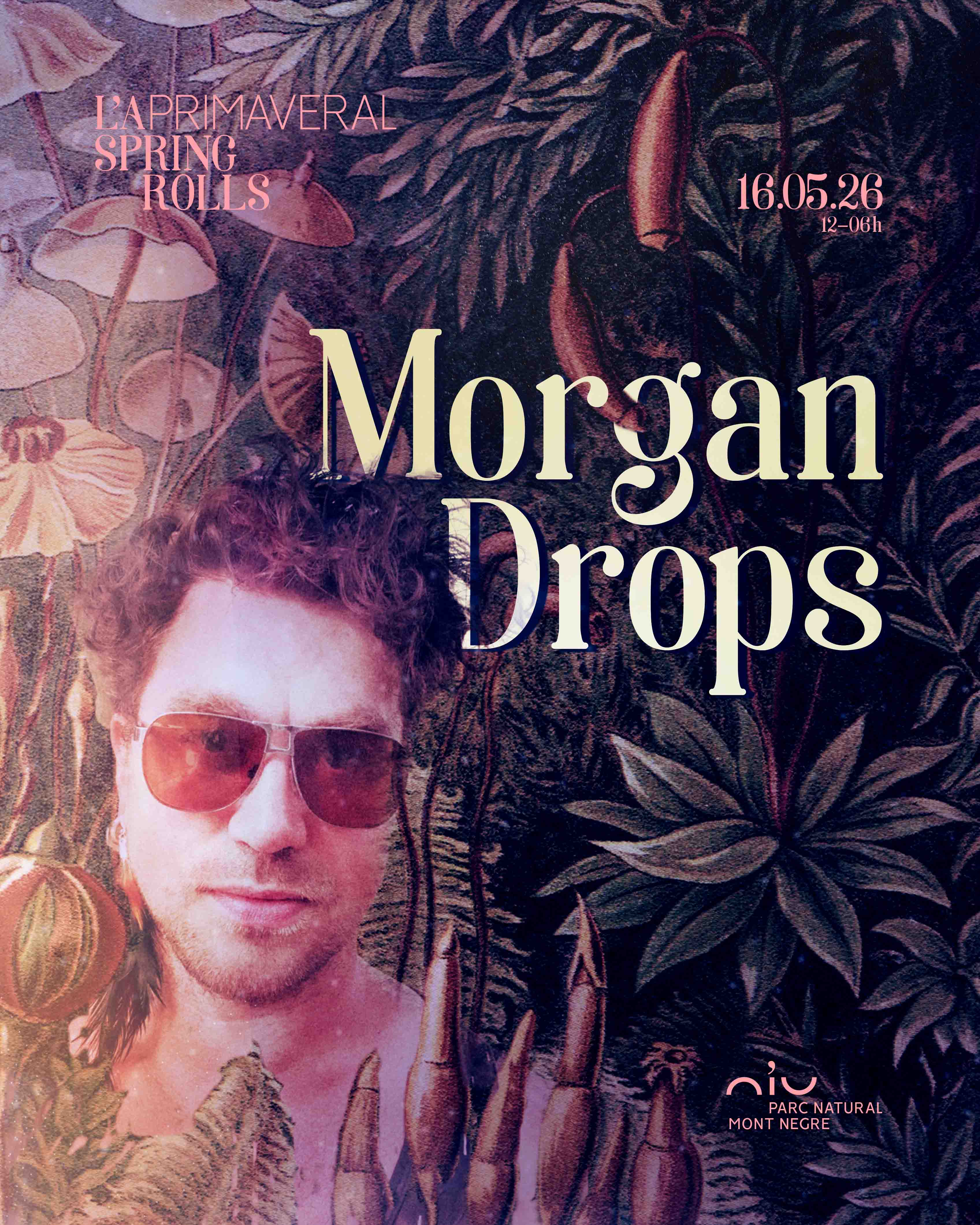 L'A PRIMAVERAL – Spring Rolls – MORGAN DROPS